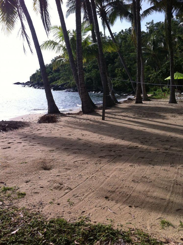 Turtle Cove Beach Resort - Adults Only Lgbtqia & Allies Wangetti Exterior photo